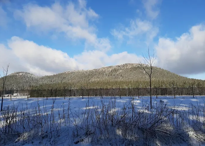 Dantar 3* Kudowa-Zdrój